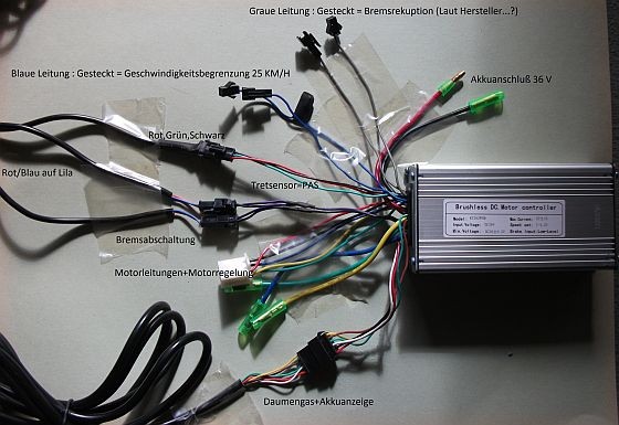 LCD Controller 36/48V Typ 03 nur Steuerung